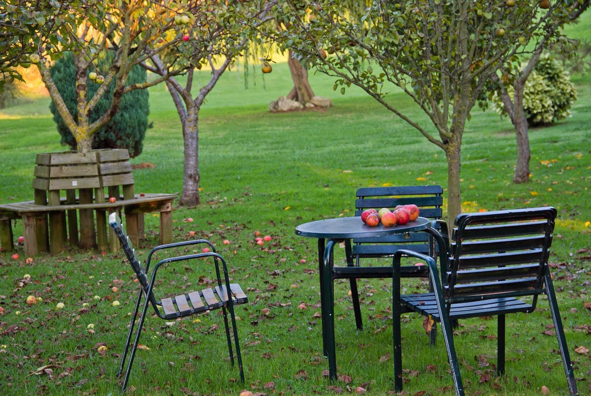 Posada San Pedro Pension Orena Buitenkant foto